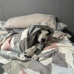 Meet your Posher, Destiny